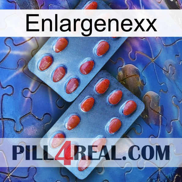 Enlargenexx 05.jpg